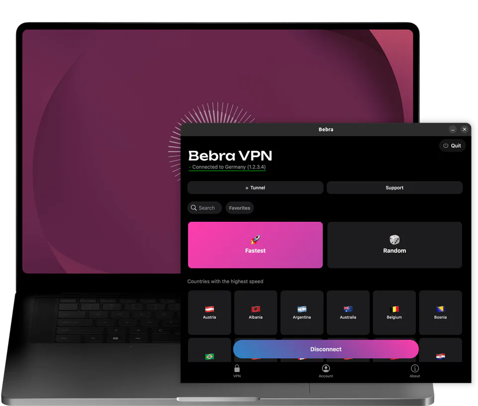 The Bebra VPN window on an Ubuntu laptop